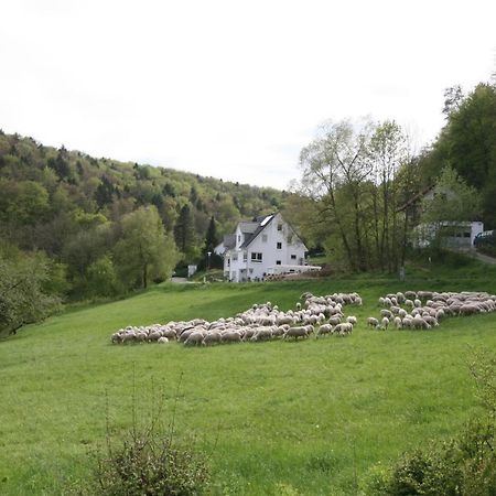 B&B Arlesbrunnen Egloffstein Exterior foto