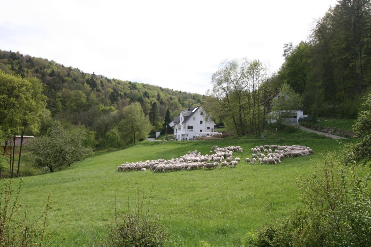 B&B Arlesbrunnen Egloffstein Exterior foto